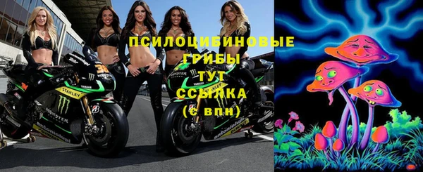 круглые Алексеевка
