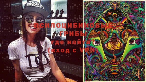 дурь Абдулино
